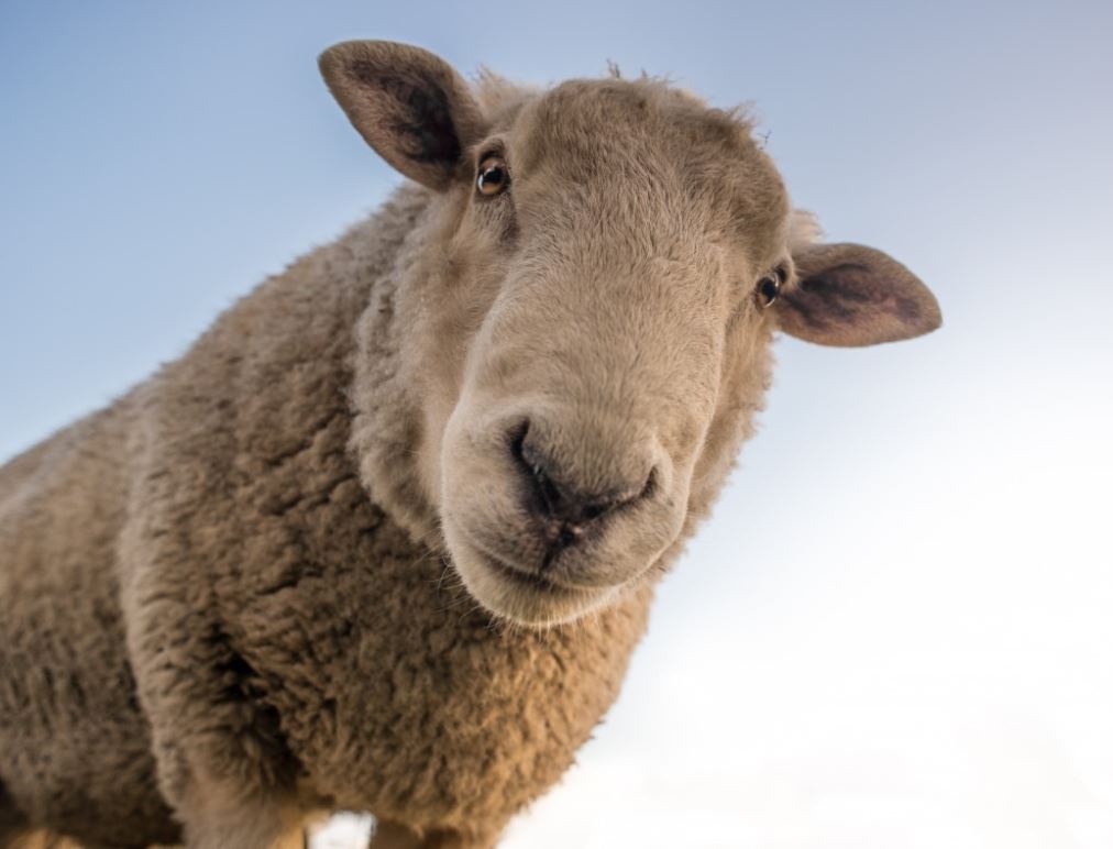 How We're Participating In Sustainable Fashion